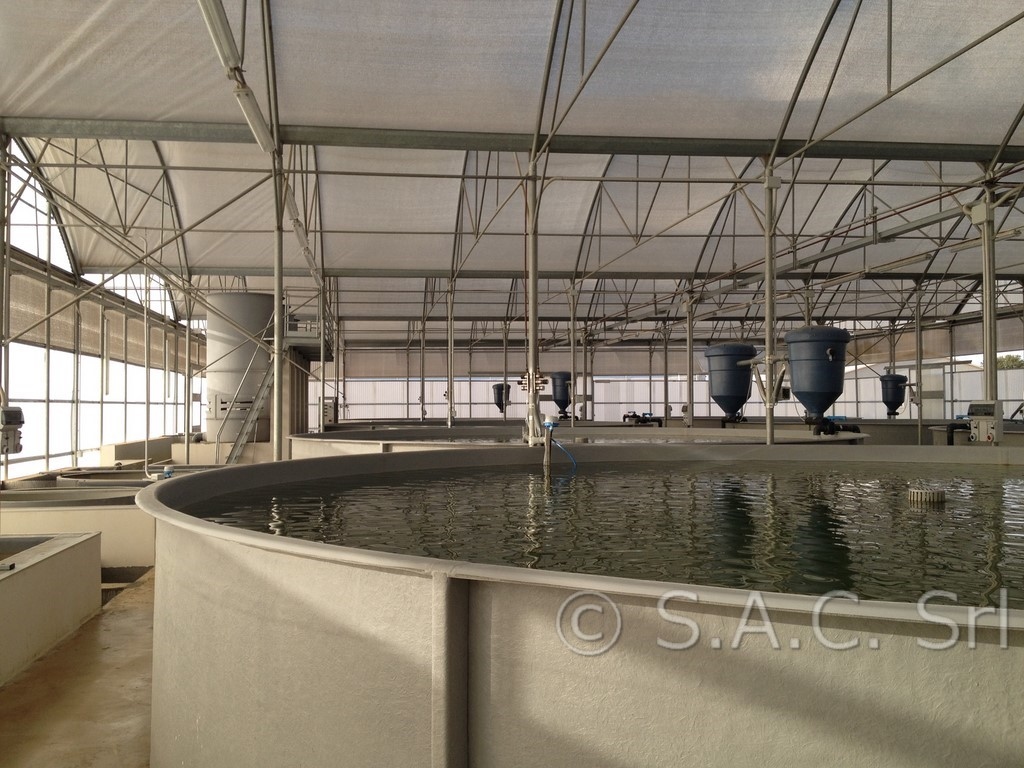 Impianto di piscicoltura in vasche - elaborazione piani di sicurezza